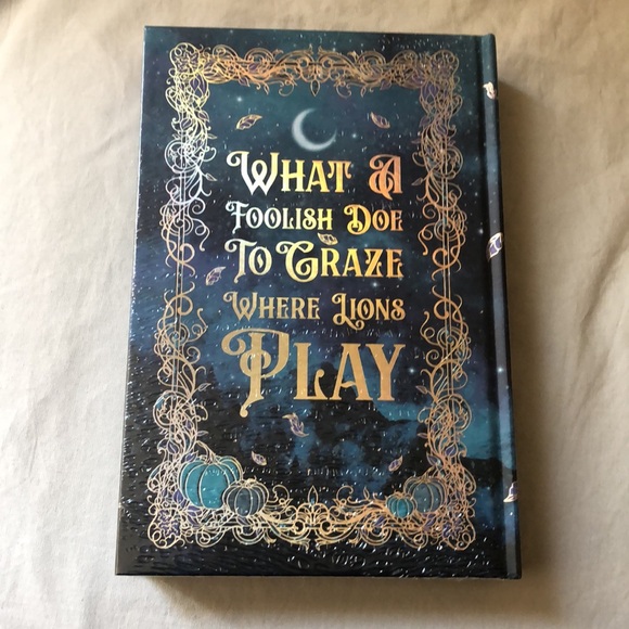 Rise of the Cinder Fae by Whitney Dean Moonlight Book Box Exclusive Edition - Picture 7 of 9